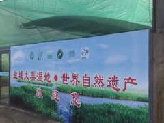 -盐城丹顶鹤湿地生态旅游区