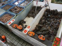 -大湾区中央湿地公园-十九涌