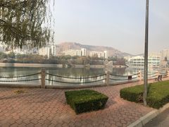 -青岛大学(金家岭校区)