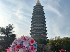 -红梅公园