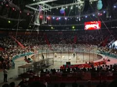 -俄罗斯国家大马戏团