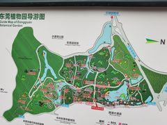 -东莞植物园