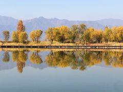 -野鸭湖国家湿地公园