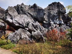 -千岛湖石林