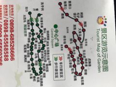 -海南热带野生动植物园