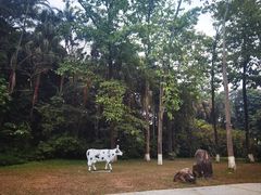 -广西壮族自治区药用植物园