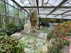 -南宫五洲植物乐园