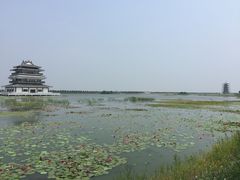 -呼兰河口湿地公园