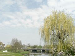 -梁鸿国家湿地公园