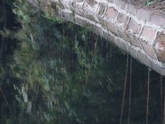 -望江楼公园