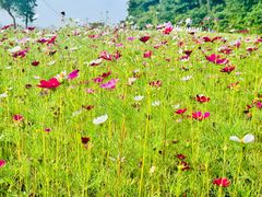 -东钱湖旅游度假区