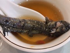 -舌尖上·霞浦滩涂海鲜·新闽菜(总店)