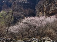 -龙门涧景区