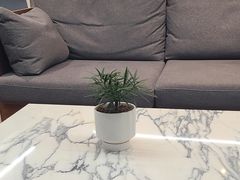 -北京盈之宝宝马4S店(望京店)