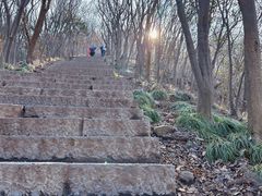 -紫金山山顶公园
