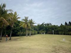 -深圳湾公园(南山区)