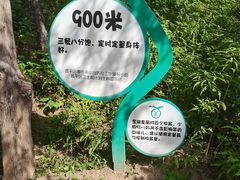 -北京十三陵国家森林公园蟒山景区