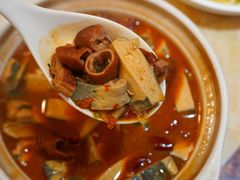 肥肠臭豆腐煲-新天厨酒家(二分店)