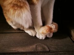 -厦门良筑精品酒店(厦门中山路店)