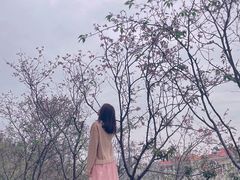 -小南山公园