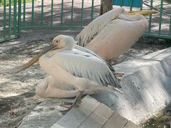 -水上乐园·欢乐世界