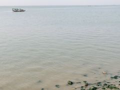 -明记海鲜美食老字号(明记总店)