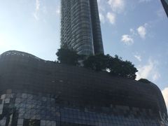 -爱雍·乌节