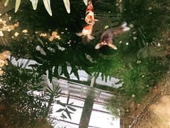 景观位-聚缘堂·海鲜私房菜(松岭路店)