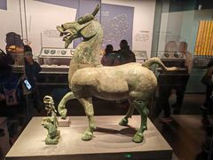 -广西壮族自治区博物馆