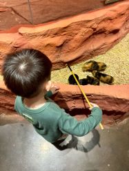 -Zoolung Zoolung动物主题公园(海信广场店)