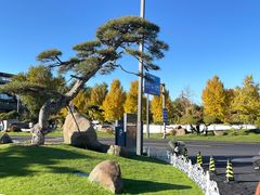 -罗红摄影艺术馆