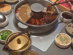 -巴奴毛肚火锅(二七万达店)