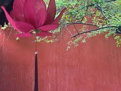 -钱王祠