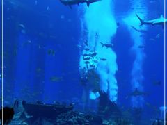 -亚特兰蒂斯•OSSIANO奥西亚诺海底餐厅