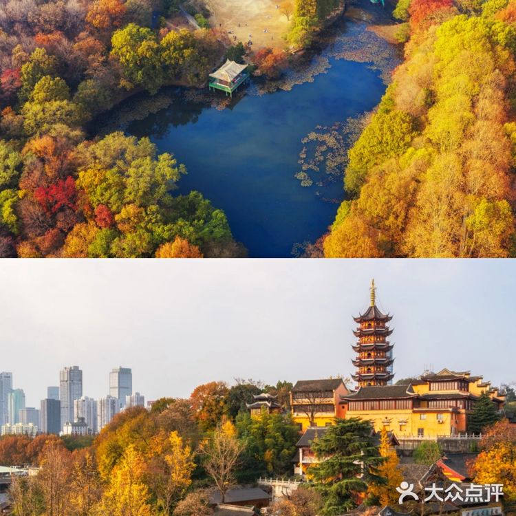 南京旅游丨超详细！🍁5个赏秋景点攻略！