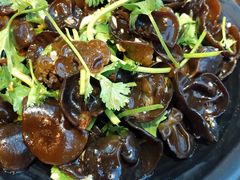 凉拌木耳-沿海405烤场(沿海赛洛城店)