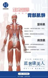 -星港国际·Skin皮肤专研·皮肤管理