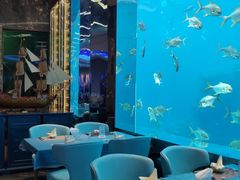 -瑞德姆美人鱼海底演艺主题餐厅(亚龙湾店)