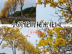 -长洲岛
