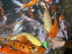 -海合安青岛极地海洋公园