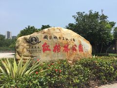 -大亚湾红树林城市湿地公园