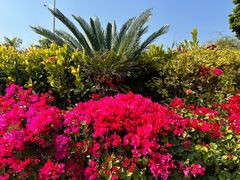 -福建泉州仙公山风景名胜区