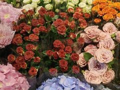 -朝来春花卉市场