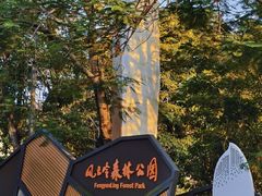 -风云岭森林公园