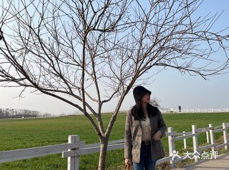 成都周边游10元畅游新西兰农场