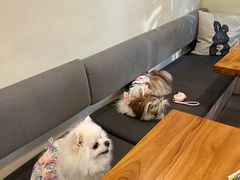 -小意思咖啡店(草桥店)