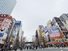 -秋叶原电器街