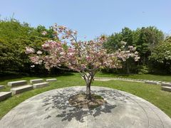 -Wagas沃歌斯(汇智店)