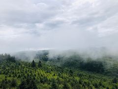 -秦岭风景区
