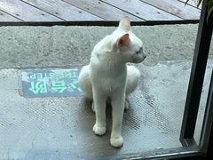 -无名小酒馆·湖北私房菜(昙华林店)